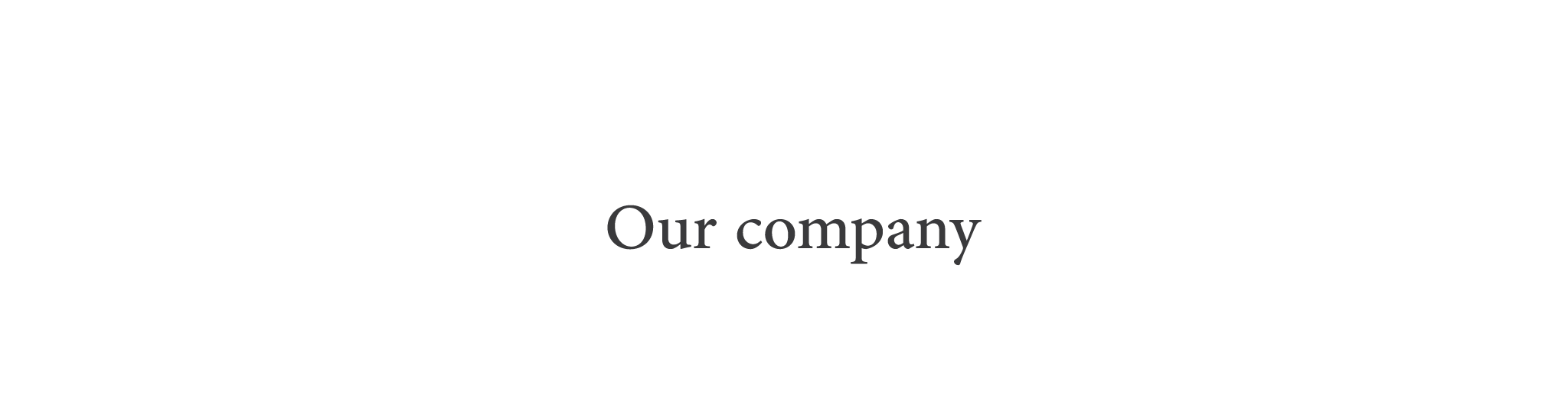 OUR COMPANY